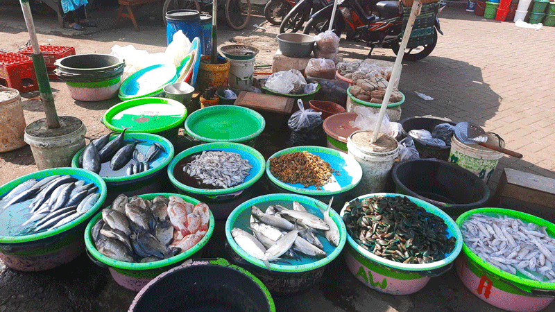 2025 | Ikan Ikan yang Dijual di Pelabuhan Ikan Tawang oleh Pedagang