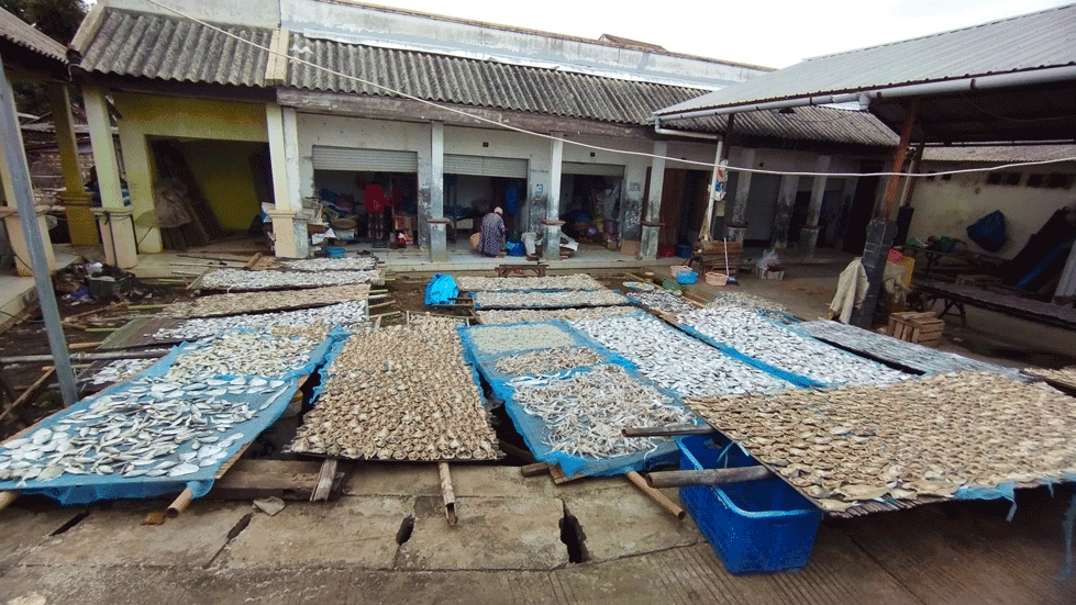 2025 | Produk Ikan yang Dijemur.png