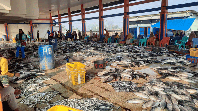 2024 | Suasana Persiapan Lelang Ikan